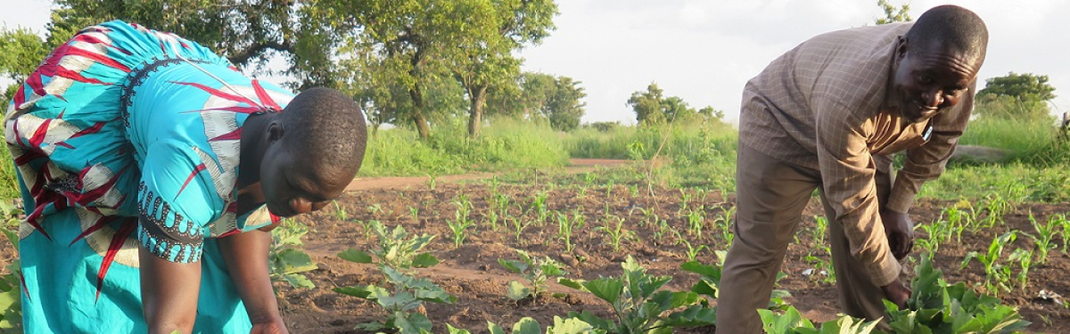 Ernährungssicherung in Uganda