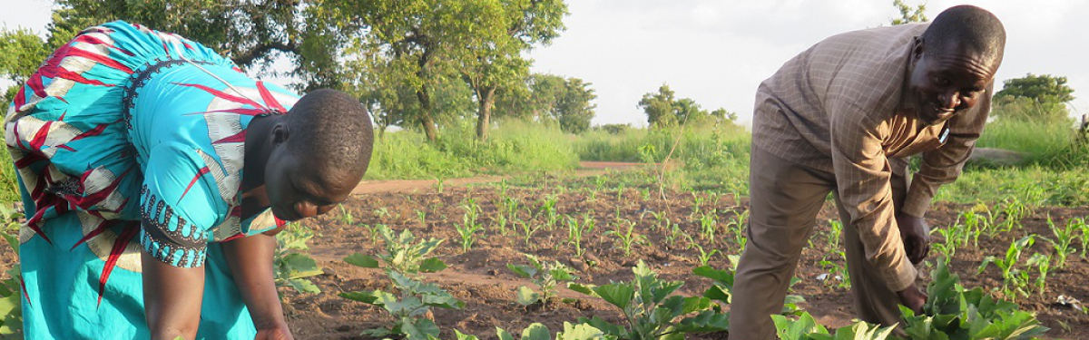 Ernährungssicherung in Uganda