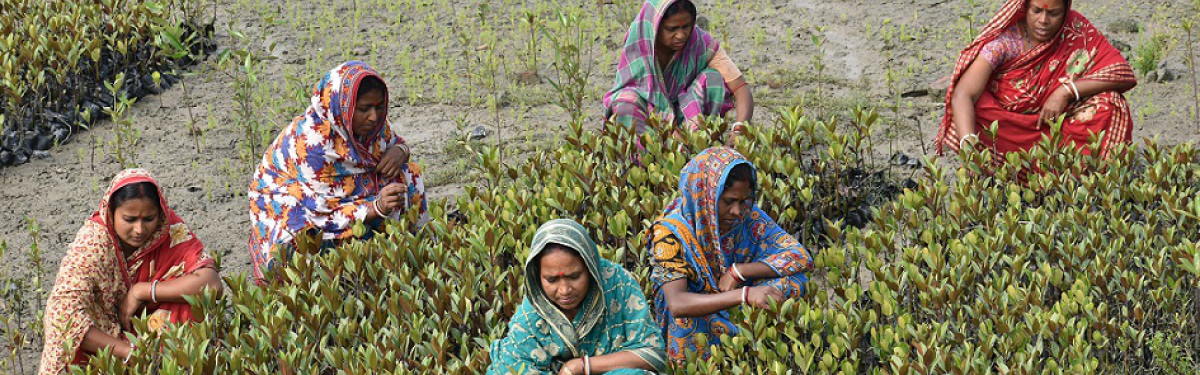 Frauen im Feld in Indien