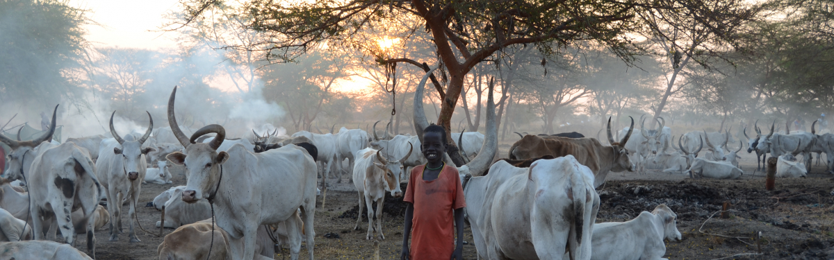 Informieren Südsudan