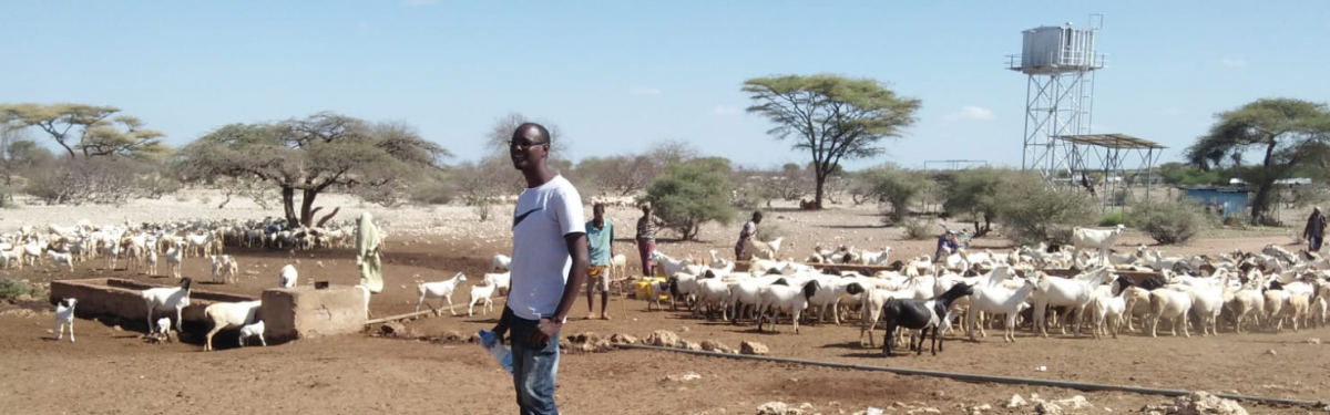 mid-p_project_officer_with_livestock_at_boji_boreole_in_garabtulla_sub-county_0.jpg
