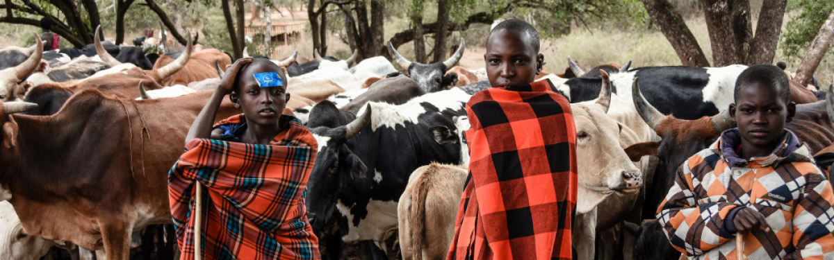 Eine wichtige Lebensgrundlage der Massai ist die Viehzucht. Die Hirten sind in großer Sorge um ihr Weideland.