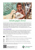 Informationsblatt Schafe Jemen