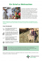 Informationsblatt zum Schafprojekt in Armenien