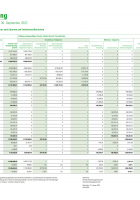Multi-division accounting in accordance with principles of the German Charities Council